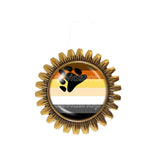 Gay Bear Pride Flag Brooch Badge Pin Cosplay Brotherhood Fashion Jewelry Sign